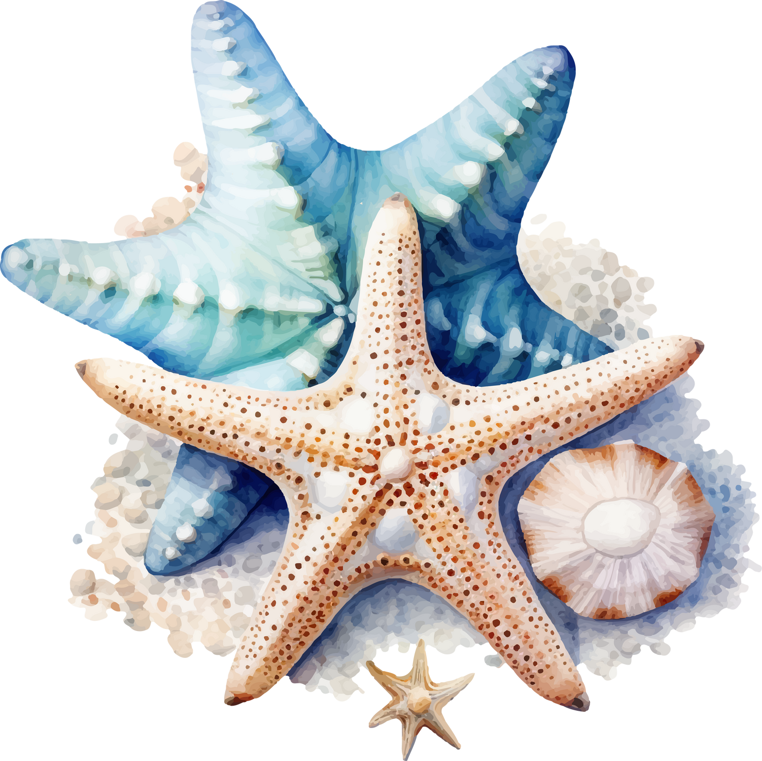 starfish and shell watercolor illustration